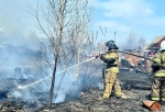 В трех районах Омской области объявили чрезвычайную пожарную опасность — 5 класс горимости