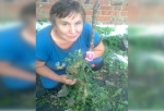 В Омской области объявили большой сбор на поиск женщины, пропавшей в лесу 5 дней назад 