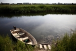 Браконьеров из Омской области заставили возместить ущерб за крупный улов