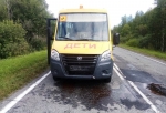 В Омской области школьный автобус врезался во внезапно выбежавшую из леса косулю