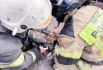 В Омске спасатели реанимировали двух кошек после пожара (Видео)