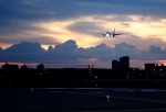 Росавиация отозвала у авиакомпании допуск на рейсы из Омска на Кипр 