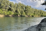 В омских реках обнаружили превышение токсичного фенола и марганца