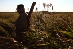 Омских охотников просят сообщать об обнаружении косуль «с нетипичным поведением»