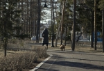 «Губа, как решето»: в парке имени 30-летия ВЛКСМ на пони напала агрессивная собака
