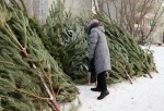Омичи сдали более 1700 новогодних елок на переработку