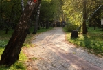 В Омске назвали график обработки парков от клещей