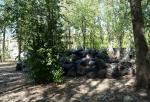 Омская мэрия выделила 5,5 миллиона на уборку свалок неподалеку от «Меги»
