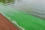 «Не должно сказаться на качестве водопроводной воды» — омский Роспотребнадзор о позеленевшем Иртыше