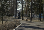В Омской области клещи за неделю снова покусали почти 300 человек