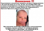 В Омской области до сих пор ищут женщину, оставившую младенца в лесу