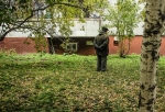 Омские власти не нашли подрядчика для охраны и защиты городского лесопарка