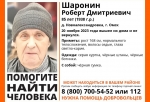 В Омском районе пропал 85-летний мужчина