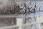 «Пошла плесень, одолели комары»: жители дома в Чкаловском рассказали о проблемах из-за воды в подвале
