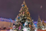 Виталий Хоценко: «Омская новогодняя красавица зажгла огни на выставке «Россия»»