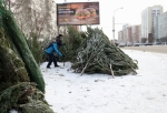 В Омске торговцы побросали непроданные елки прямо на улице