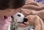 Омичка погибла под колесами поезда в Москве, спасая собаку