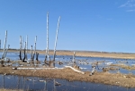 Уровень воды в реках Омской области продолжает снижаться