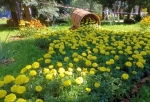 В Омске ищут подрядчика для создания цветочных композиций на «Флоре» - на это выделено 14,5 млн рублей