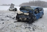 Два водителя погибли в метель на трассе в Омской области