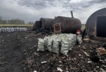 В заказнике под Омском организовали незаконное производство древесного угля