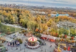 Омичи заметили вырубку деревьев на «Зеленом острове»: что ответили власти
