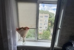 В Омске 4-летний малыш выпал из окна на пятом этаже