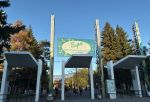 В День города в главном парке Омска ввели технические перерывы на аттракционах