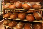 Омск готовится отметить «Хлебный Спас»