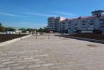 Площадь Бухгольца в центре Омска украсит спирея японская