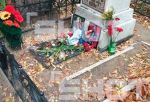 В Омске на могилу Егора Летова подложили свиную голову с надписями