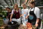 В Омске появилась обновленная оранжерея для юных экологов