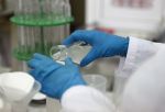В Омской области нашли новые очаги бешенства