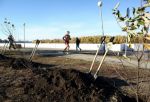 Осенний общегородской субботник назначен в Омске на 26 сентября
