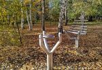 В омском парке появятся новые музыкальные скульптуры