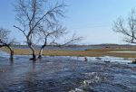 Омская область в зоне риска: сколько участков попало в зоны подтопления