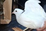 Более 458 тонн продукции задержали на границе в Омской области: что нашли инспекторы