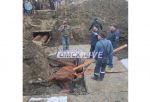 В Омске лошадь провалилась в яму, оставленную коммунальщиками