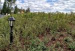 Омичи пожаловались на проблемы с освещением в сквере Молодоженов