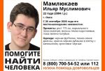 «ЛизаАлерт» просит водителей Омска помочь в поисках пропавшего парня