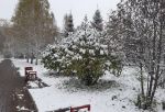 Омичей предупредили о дожде, мокром снеге и похолодании 4 октября