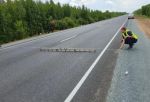 Завершился ремонт участка автотрассы Омск – Русская Поляна