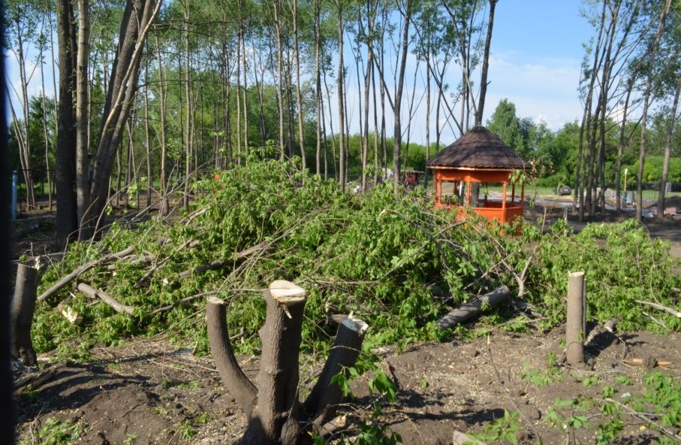 Возле Лебединого озера в Омске строят парк для молодоженов