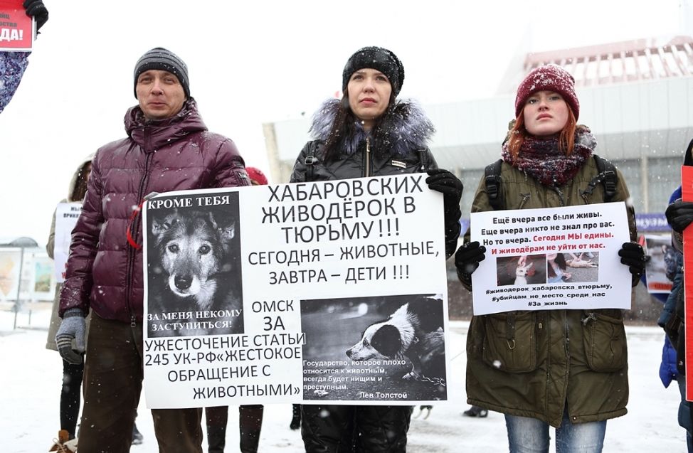 Против живодеров. Плакаты против живодеров. Картинки против живодеров. Фотожаба против живодеров.