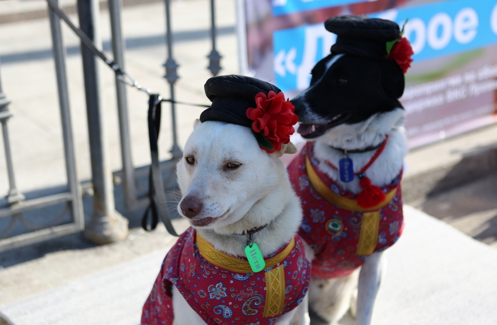 В Омске прошли масленичные гуляния (фото)