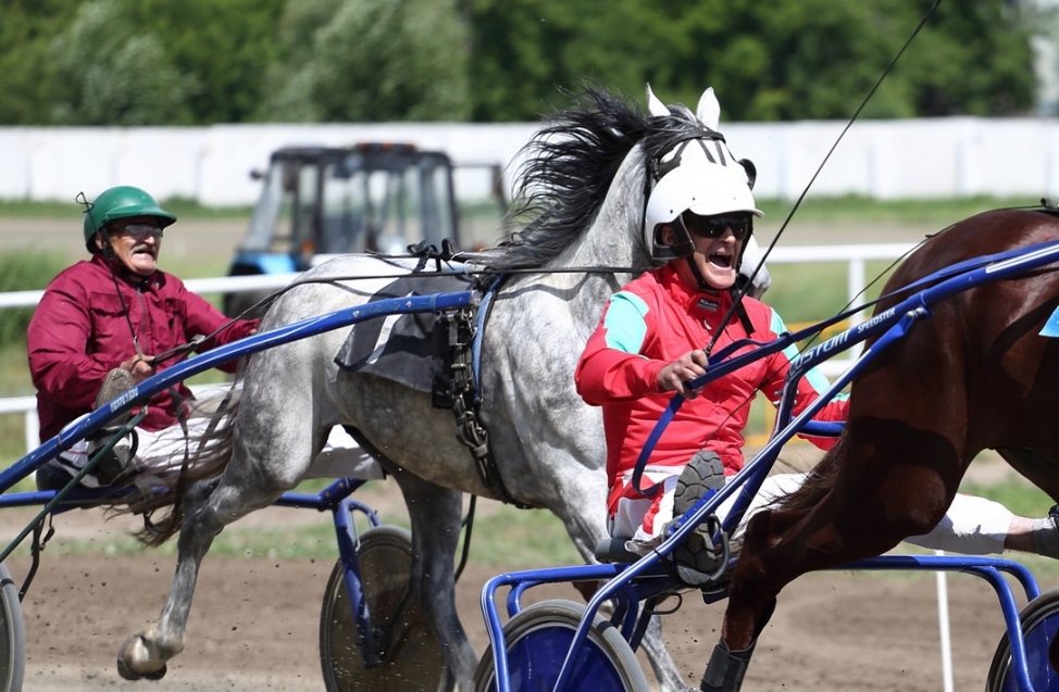Скачки на омском ипподроме: женщины выгуляли шляпки, а мужчины коней 