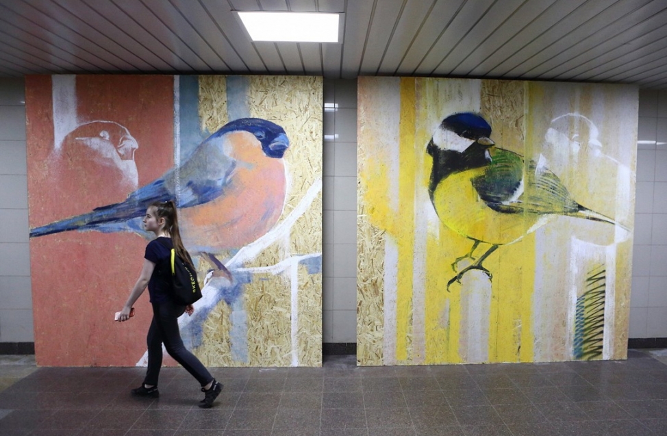 В омском метро поселились арт-голуби