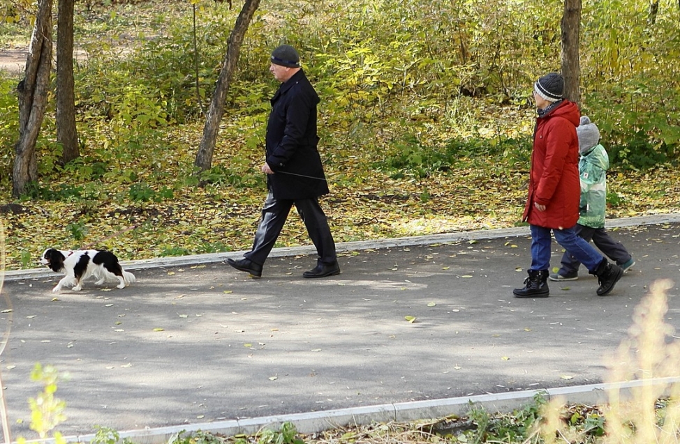 «Деревья в бетоне», руины и новые карусели за забором: что происходит в парке на Зеленом острове за два дня до окончания благоустройства