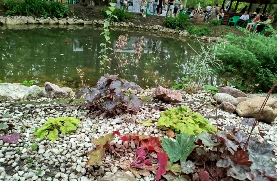 Ежегодная выставка или прогулка по саду? Фоторепортаж о том, что интересного было на «Флоре»