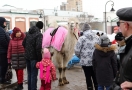 Ледяной столб, блины, верблюды: Как омичи встретили весну с Масленицей (Фото)